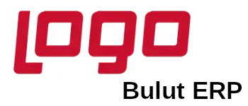 logo bulut erp